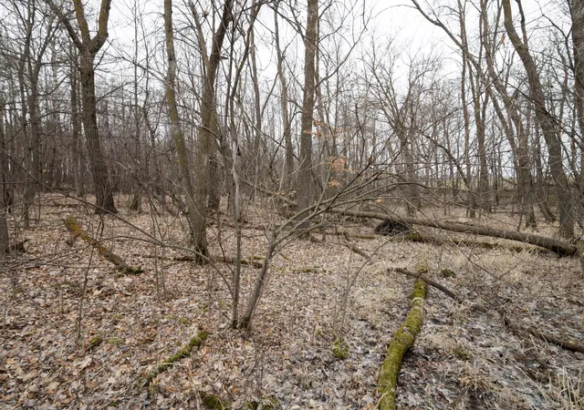 Photo 4 of Land for sale at Lot 3 Saylers Beach Rd, Lake Park, MN 56554 | MLS# 7052721 | Listing updated on 2026-05-27