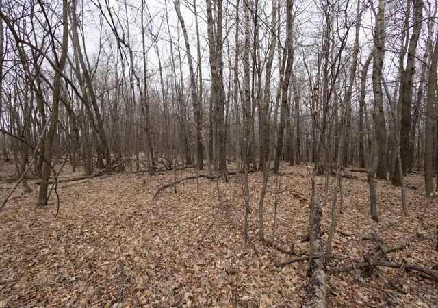 Photo 4 of Land for sale at Lot 4 Saylers Beach Rd, Lake Park, MN 56554 | MLS# 7052722 | Listing updated on 2026-05-27