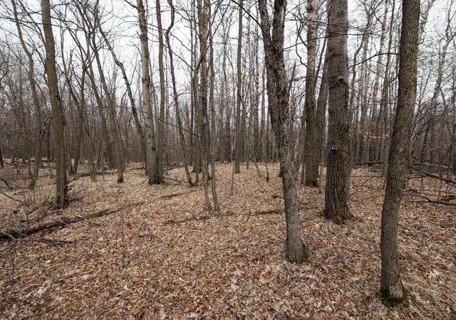 Photo 3 of Land for sale at Lot 6 Saylers Beach Rd, Lake Park, MN 56554 | MLS# 7052800 | Listing updated on 2026-05-27