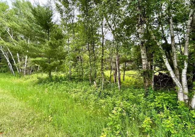 Homes for sale in Browerville, MN | Tbd Pacer Dr, Browerville, MN 56438 | MLS# 7053177