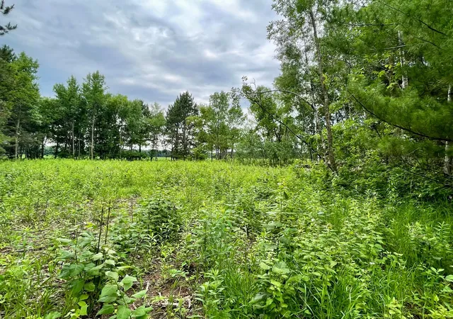 Homes for sale in Browerville, MN | Tbd Pacer Dr, Browerville, MN 56438 | MLS# 7053177