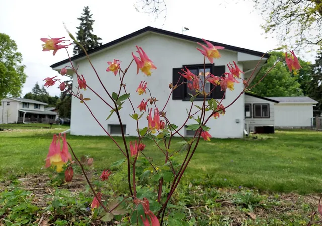 5th image of 1791 Lake St, Saint Paul, MN 55113 | MLS# 7053335