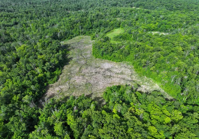 Photo 4 of Land for sale at Tbd County Hwy 26, Rochert, MN 56578 | MLS# 7053590 | Listing updated on 2026-08-31