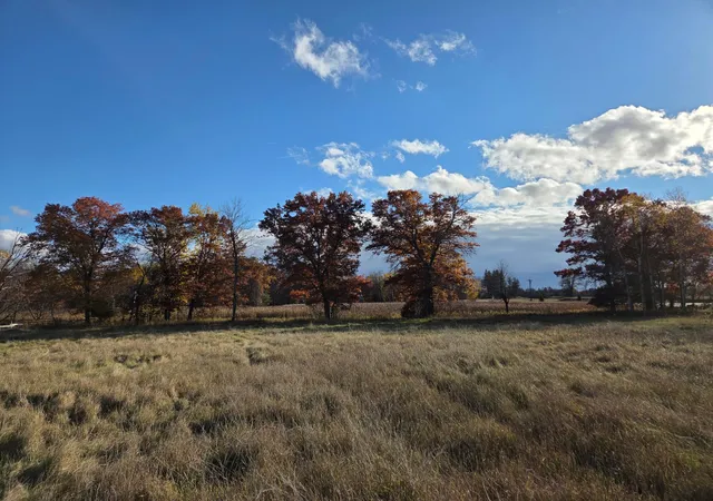 Photo 3 of Land for sale at 251x 183rd Avenue Ne, Wyoming, MN 55092 | MLS# 7053931 | Listing updated on 2026-07-22