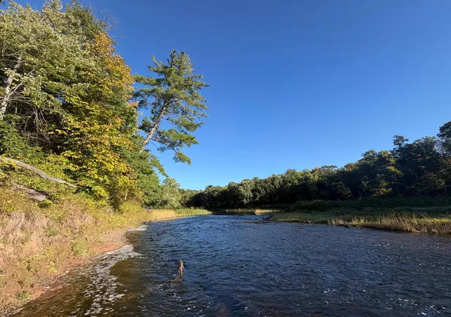 Land for sale at Tbd Riverview Pl, Merrifield, MN 56465 | MLS# 7054649