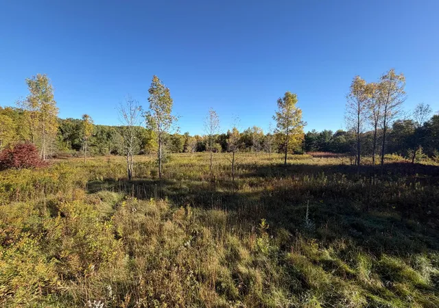 Photo 3 of Land for sale at Tbd Riverview Pl, Merrifield, MN 56465 | MLS# 7054649 | Listing updated on 2026-09-27