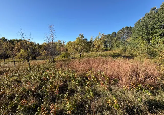 Photo 3 of Land for sale at Tbd Riverview Pl, Merrifield, MN 56465 | MLS# 7054649 | Listing updated on 2026-09-27