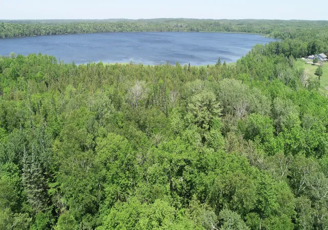 Photo 2 of Land for sale at Tbd Rush Is Lake Rd, Deer River, MN 56636 | MLS# 7054754 | Listing updated on 2026-07-27