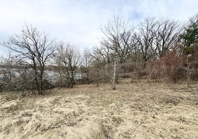Homes for sale in Sauk Centre, MN | 39773 444Th St, Sauk Centre, MN 56378 | MLS# 7054847