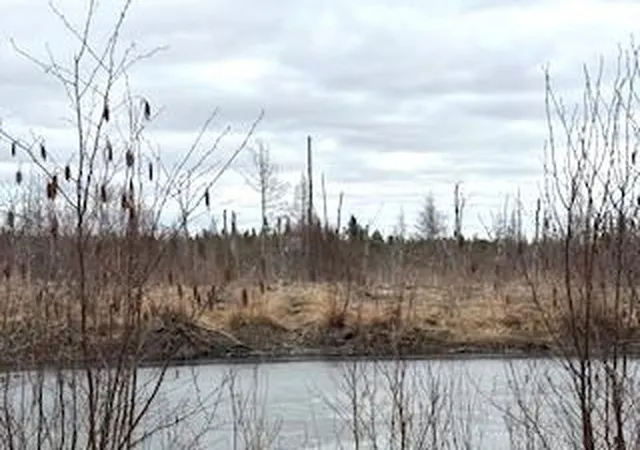 1st image of Tbd 450th St, Palisade, MN 56469 | MLS# 7054866