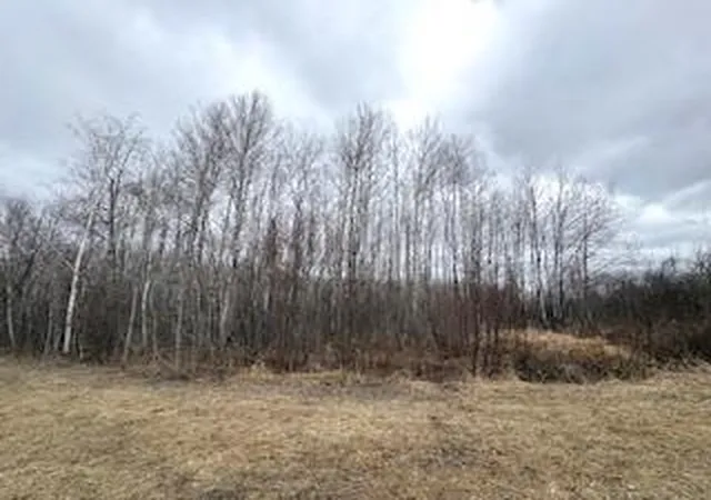 2nd image of Tbd 450th St, Palisade, MN 56469 | MLS# 7054866