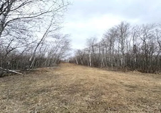 3rd image of Tbd 450Th St, Palisade, MN 56469 | MLS# 7054866