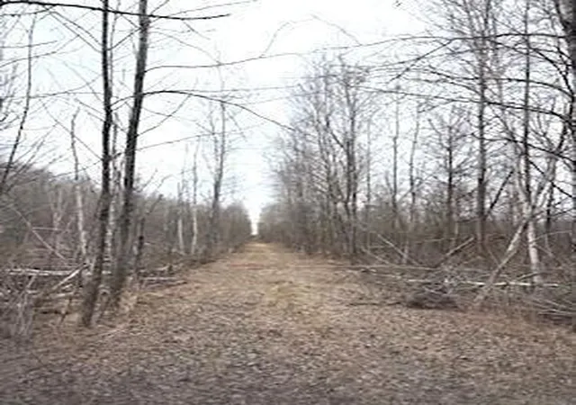 4th image of Tbd 450Th St, Palisade, MN 56469 | MLS# 7054866