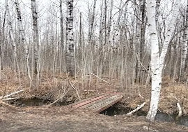5th image of Tbd 450Th St, Palisade, MN 56469 | MLS# 7054866