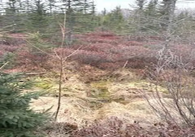 9th image of Tbd 450th St, Palisade, MN 56469 | MLS# 7054866