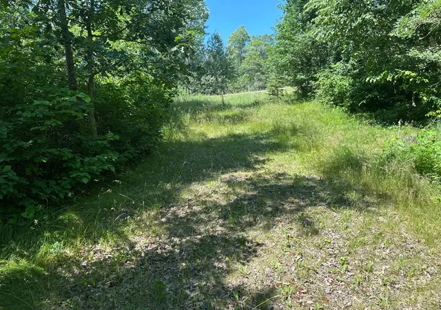 Homes for sale in Nevis, MN | 25963 Elk Haven Dr, Nevis, MN 56467 | MLS# 7055060