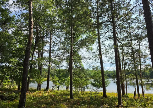 16th image of Xxx County Road H Road, Danbury, WI 54830 | MLS# 7055180
