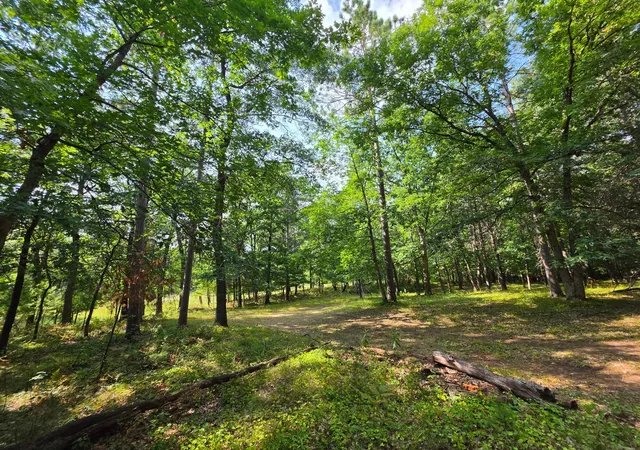 4th image of Xxx County Road H Road, Danbury, WI 54830 | MLS# 7055180