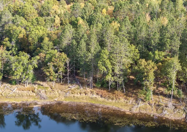 5th image of Xxx County Road H Road, Danbury, WI 54830 | MLS# 7055180