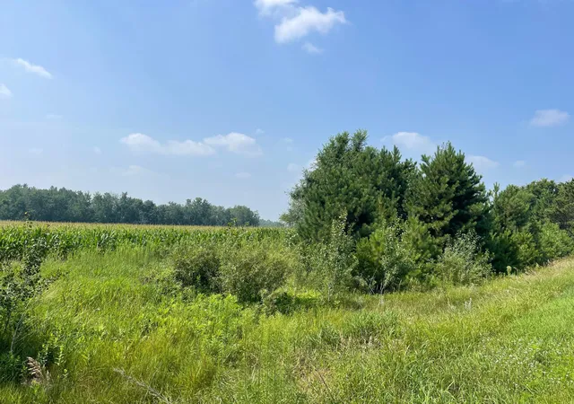 Photo 2 of Land for sale at Xxx 17th Street, Princeton, MN 55371 | MLS# 7055221 | Listing updated on 2026-05-27