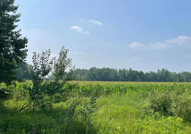 Photo 3 of Land for sale at Xxx 17th Street, Princeton, MN 55371 | MLS# 7055221 | Listing updated on 2026-05-27