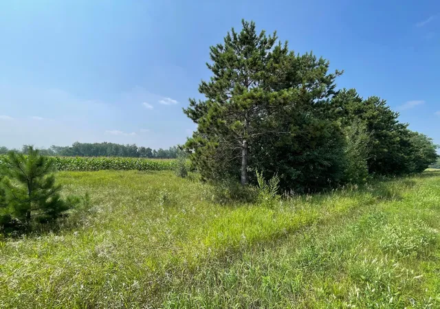 Photo 4 of Land for sale at Xxx 17th Street, Princeton, MN 55371 | MLS# 7055221 | Listing updated on 2026-05-27