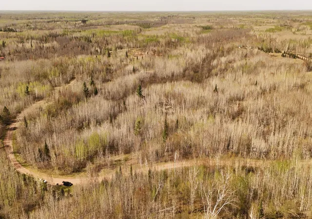 Photo 3 of Land for sale at 80729 Tamarack Ranch Rd, Sandstone, MN 55072 | MLS# 7055227 | Listing updated on 2026-08-13