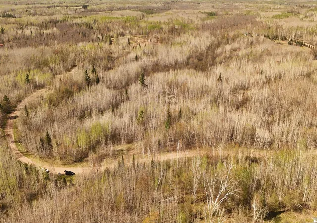 Photo 4 of Land for sale at 80729 Tamarack Ranch Rd, Sandstone, MN 55072 | MLS# 7055227 | Listing updated on 2026-08-13