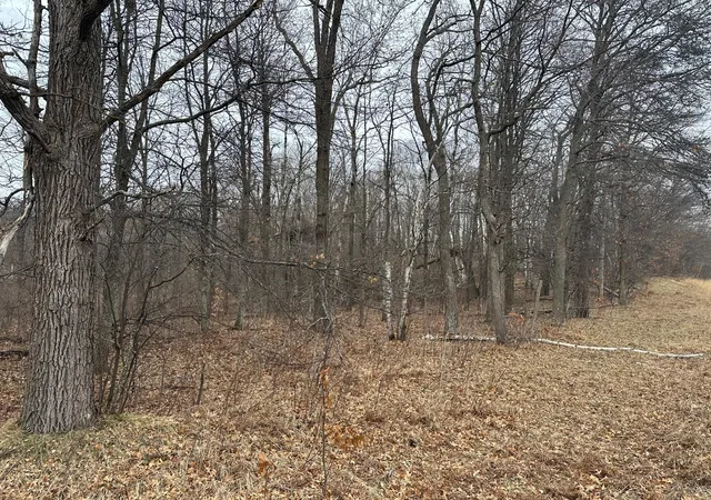 Homes for sale in Breezy Point, MN | Lot 25 County Rd 11, Breezy Point, MN 56472 | MLS# 7055526