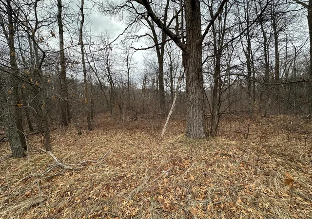 Homes for sale in Breezy Point, MN | Lot 25 County Rd 11, Breezy Point, MN 56472 | MLS# 7055526