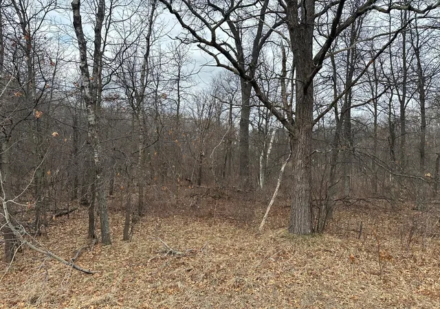 Homes for sale in Breezy Point, MN | Lot 25 County Rd 11, Breezy Point, MN 56472 | MLS# 7055526