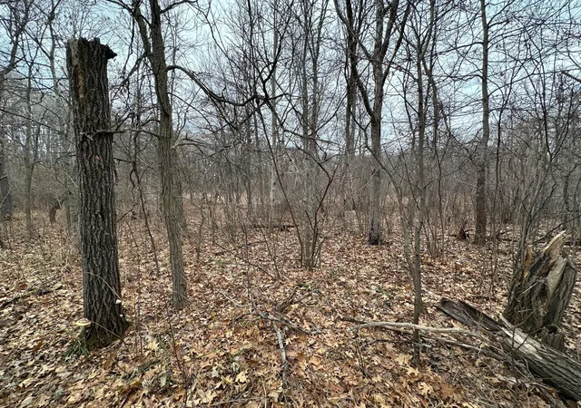 Homes for sale in Breezy Point, MN | Lot 25 County Rd 11, Breezy Point, MN 56472 | MLS# 7055526