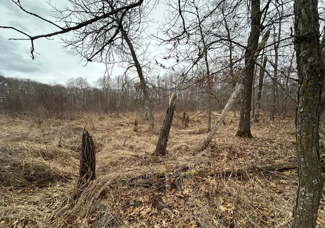 Homes for sale in Breezy Point, MN | Lot 25 County Rd 11, Breezy Point, MN 56472 | MLS# 7055526