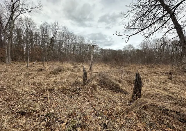 Homes for sale in Breezy Point, MN | Lot 25 County Rd 11, Breezy Point, MN 56472 | MLS# 7055526