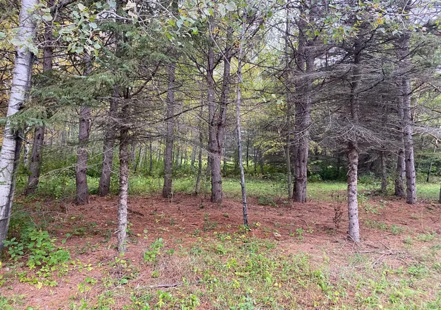 3rd image of Tbd Lot 13 Owl Ave, Aitkin, MN 56431 | MLS# 7055972