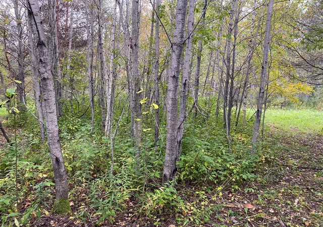 4th image of Tbd Lot 13 Owl Ave, Aitkin, MN 56431 | MLS# 7055972