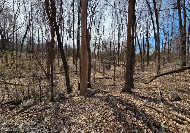 5th image of N/A State Hwy 55, Rockford, MN 55373 | MLS# 7055998