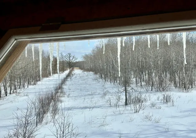Photo 4 of Land for sale at Tbd 355th Street, Lancaster, MN 56735 | MLS# 7056091 | Listing updated on 2026-08-20