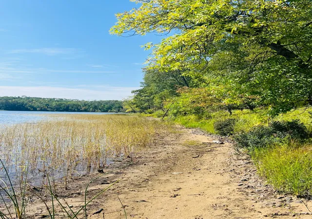 Photo 2 of Land for sale at Tbd Wolf Crk Rd, Bovey, MN 55709 | MLS# 7056417 | Listing updated on 2026-08-13