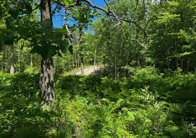 Photo 3 of Land for sale at Tbd Wolf Crk Rd, Bovey, MN 55709 | MLS# 7056417 | Listing updated on 2026-08-13