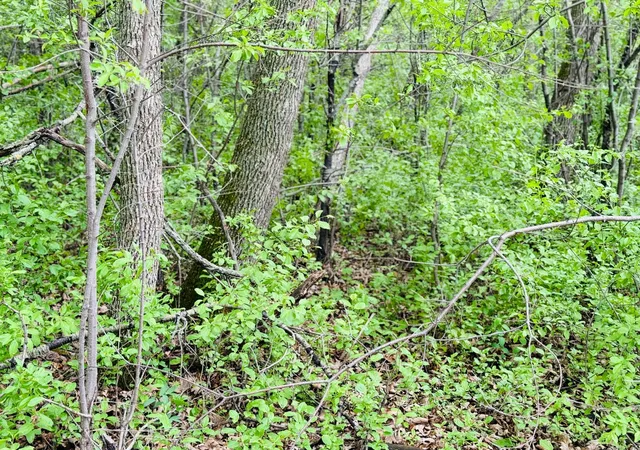 2nd image of Lot 3 Canterbury Sands Trail, Battle Lake, MN 56515 | MLS# 7056564