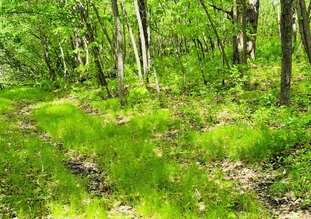 2nd image of Lot 4 Canterbury Sands Trail, Battle Lake, MN 56515 | MLS# 7056572