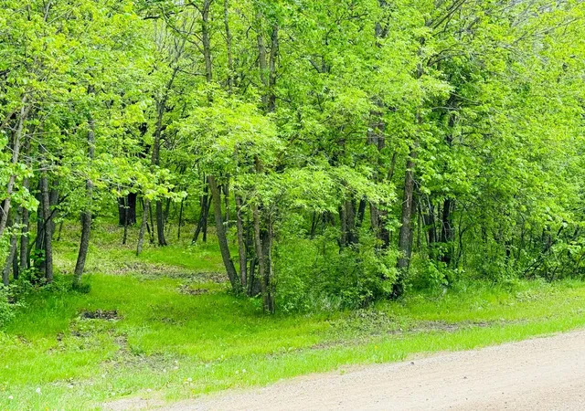 Photo 4 of Land for sale at Lot 4 Canterbury Sands Trl, Battle Lake, MN 56515 | MLS# 7056572 | Listing updated on 2026-07-23