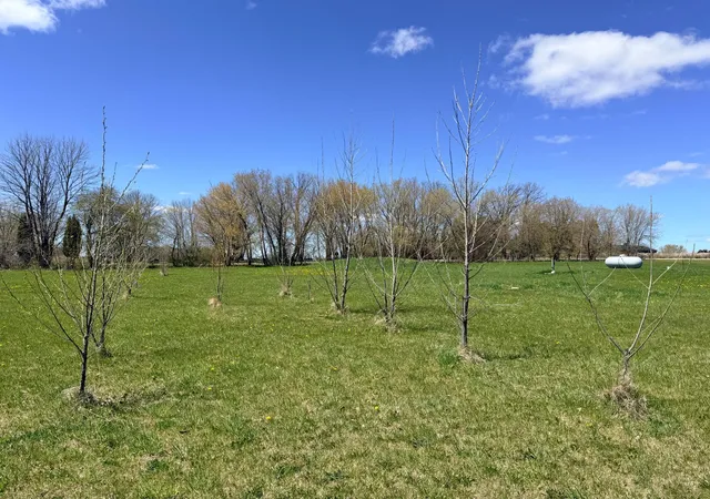 Photo 3 of Sale Pending at 62362 450th Street, Sebeka, MN 56477 | MLS# 7056854 | Listing updated on 2026-09-02