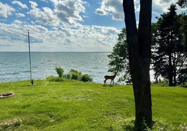 5th image of 46315 Lucretia Ln, Isle, MN 56342 | MLS# 7057523