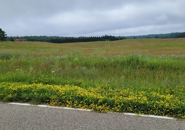 9th image of Tbd Bakkum Rd Ne, Bemidji, MN 56601 | MLS# 7057757