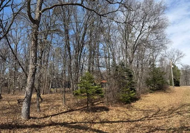 Homes for sale in Crosslake, MN | 0 Sugarloaf Rd, Crosslake, MN 56442 | MLS# 7057882
