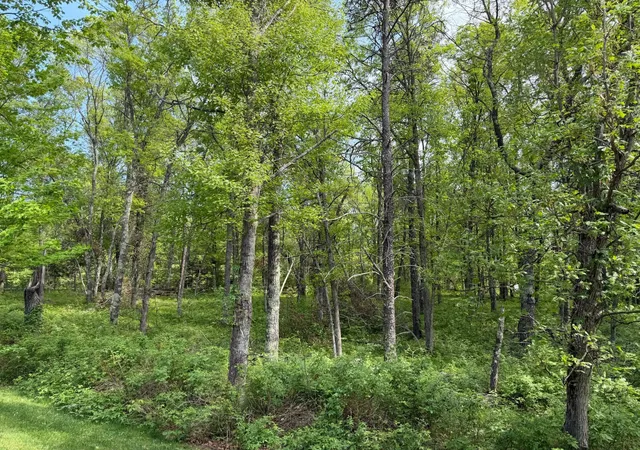 Photo 2 of Land for sale at 0 Sugarloaf Rd, Crosslake, MN 56442 | MLS# 7057882 | Listing updated on 2026-07-28