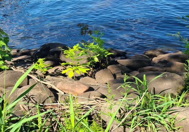 4th image of Tbd Sunset Trail, Pine City, MN 55063 | MLS# 7058098