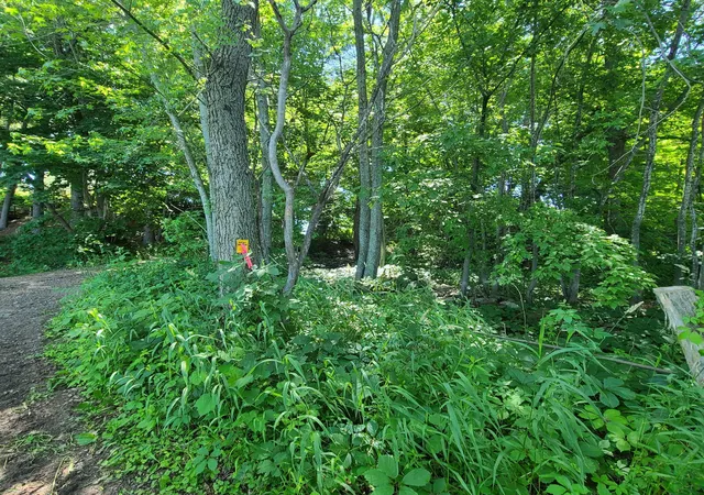5th image of Tbd Sunset Trail, Pine City, MN 55063 | MLS# 7058098